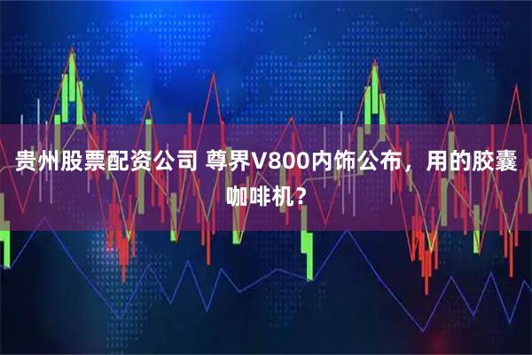 贵州股票配资公司 尊界V800内饰公布，用的胶囊咖啡机？